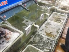 -鼓歌海鲜舫·手抓海鲜(大学城店)