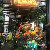 初见鲜花咖啡店☕️💐