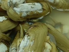 -杨记海鲜楼(三门黑金冠店)