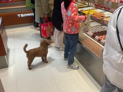 -詹记桃酥(包河万达店)