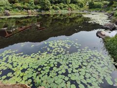 -桃花岭景区