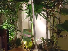 -馋嘴猫北京食堂·烤鸭·宵夜(亚运村店)