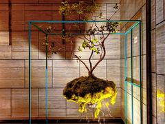 -南太湖山庄·四季轩&国风堂中餐厅