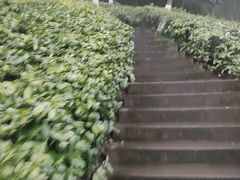 -仁虎老火锅(黄泥磅店)