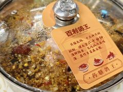 -百利鸽王(紫薇路店)