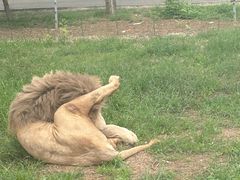 -秦皇岛野生动物园