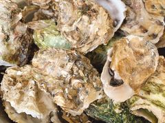 扇贝&nbsp;生耗-宾朋海鲜美食餐厅·特色美食(兴海路店)