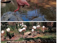 -昆明动物园