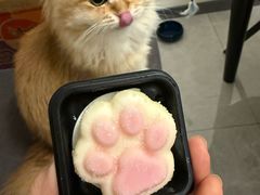 -吉之仙•中国制造•出口级食材日料店(领事馆总店)