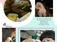 -百好乐宠物友好餐厅(朝外大街店)