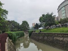 -神仙树公园