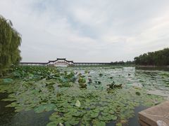 -苏州人家(锦溪镇店)