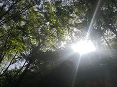 -碓臼峪自然风景区