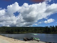 -五营红松林海景区