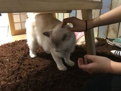 -小时光咖啡馆(开森度假森林店)
