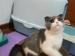 -圣宠动物医院·犬猫专科·影像中心·外科中心