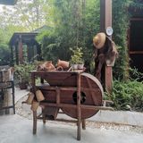 森林海也有宴会厅？