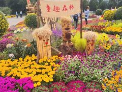 -北京十三陵国家森林公园蟒山景区