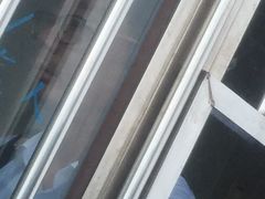 -石洞口码头