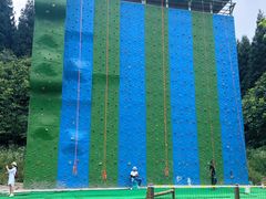 -武陵山森林公园