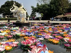 -西双版纳勐泐文化旅游区