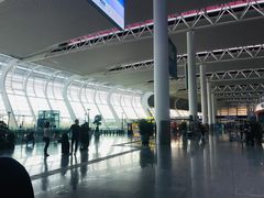 -合肥新桥国际机场-航站楼