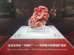 -湖南省地质博物馆