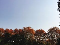 -西湖天地