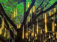 -广州长隆国际大马戏