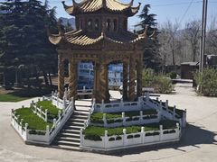 -东方巨龟苑景区