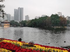 -荔湾湖公园