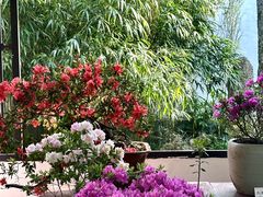 -杭州植物园