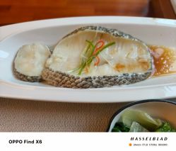 -馨月汇·一悦馨香月子中心(前滩店)