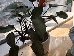 -瑞慈体检沈阳机构