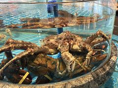 -百富源·海鲜辽菜(张士店)