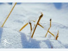 -蓟县盘山滑雪场