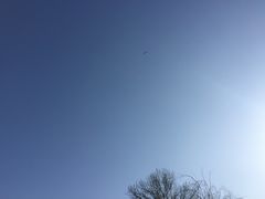 -北门涮肉·炭火铜锅涮肉(什刹海店)