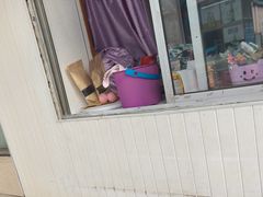 -庆岭迎宾园正宗活鱼馆