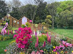 -上海共青森林公园