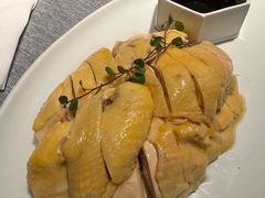 白斩散养鸡-绿波廊(豫园店)