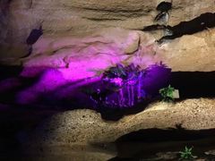 -寻龙山风景旅游区