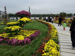 -廊坊文化艺术中心