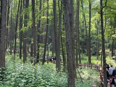 -波尔登森林公园