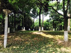 景点-花溪公园