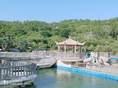 -广东惠东海龟国家级自然保护区