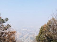 -惠山国家森林公园