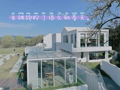 -龙坞茶村