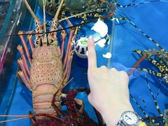 -四川小胡子海鲜(丁村万人海鲜广场店)