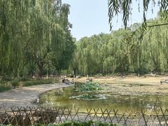 -丰台科技园生态主题公园