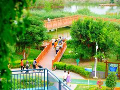 -芒洲湿地公园
